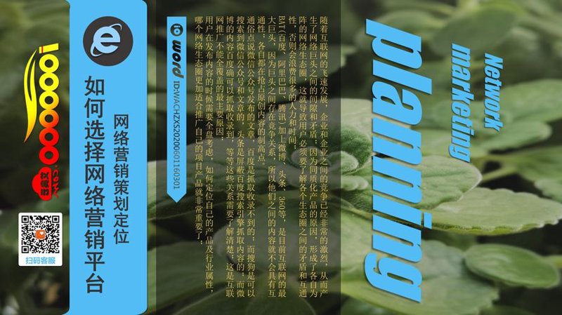 网络服务公司的行业动态与市场需求